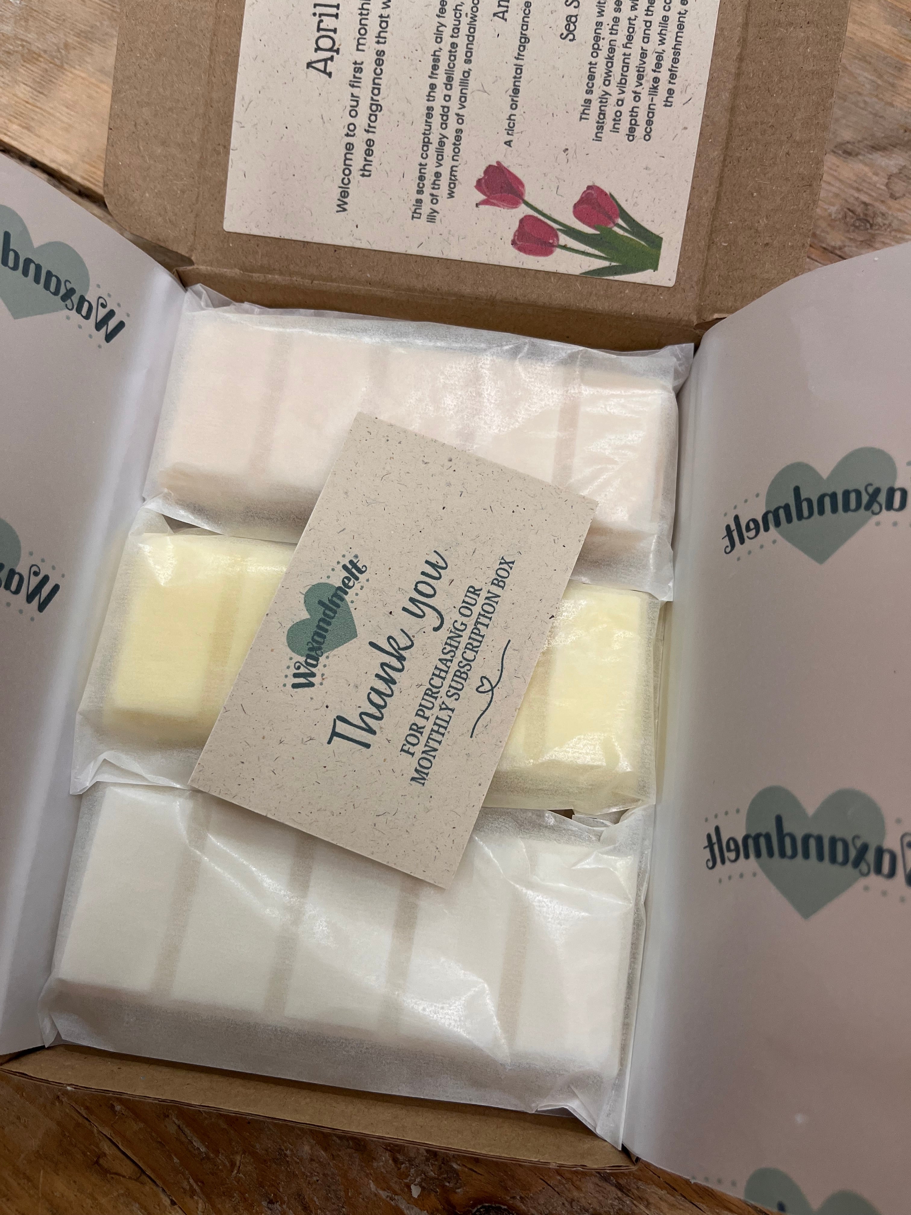 THE MELT CLUB SUBSCRIPTION BOX