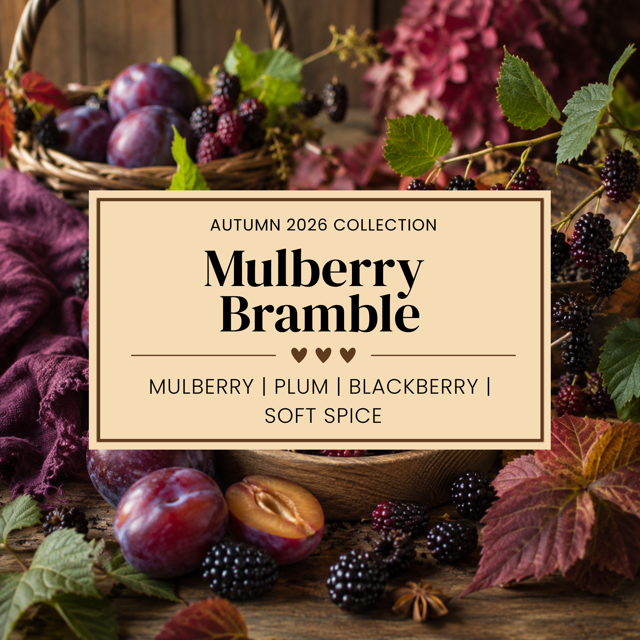 MULBERRY BRAMBE