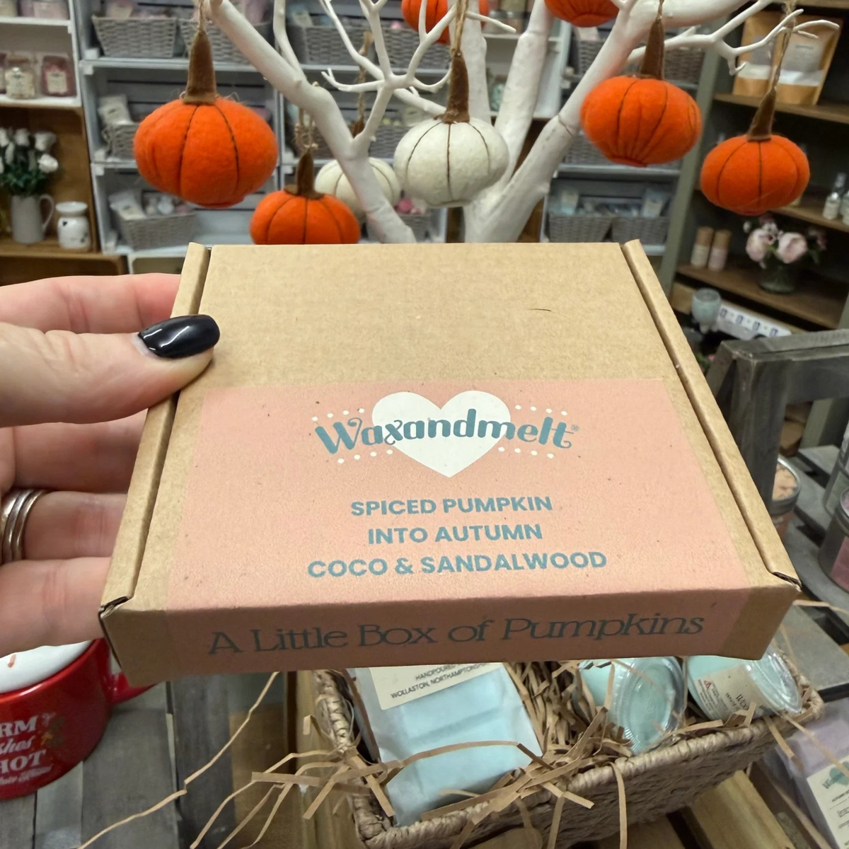 A LITTLE BOX OF PUMPKINS