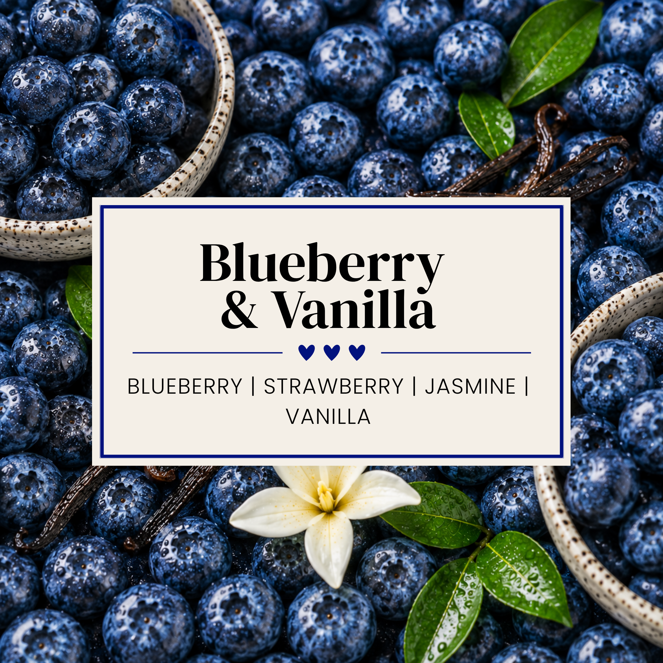 BLUEBERRY & VANILLA
